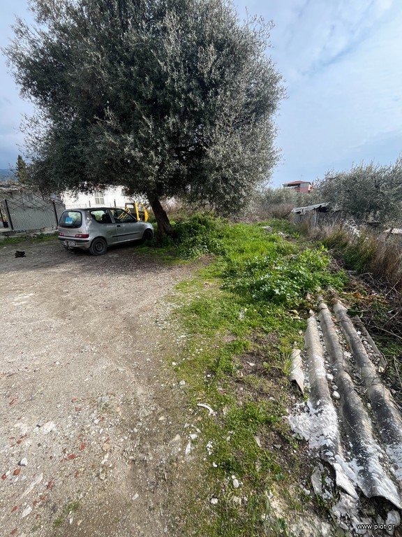Οικόπεδο 280 τ.μ. πρός πώληση, Μαγνησία, Πορταριά