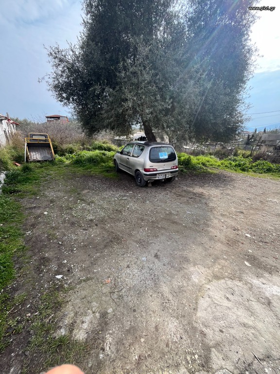 Οικόπεδο 280 τ.μ. πρός πώληση, Μαγνησία, Πορταριά