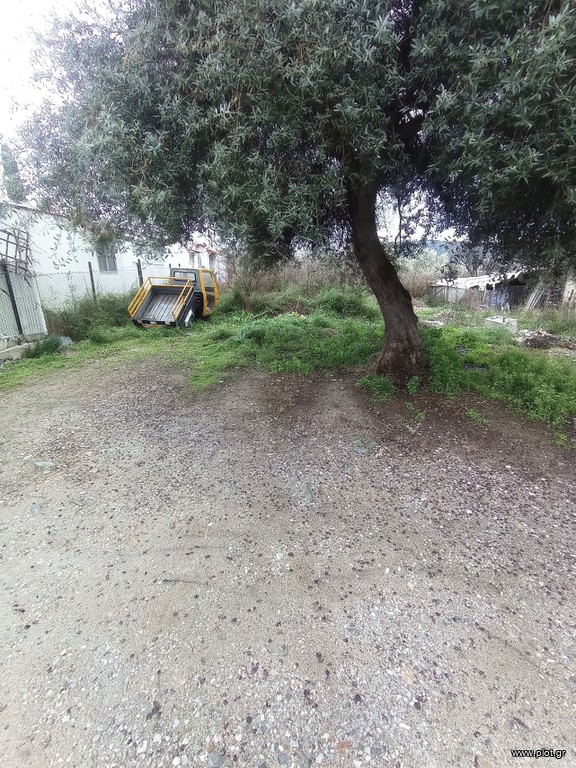 Οικόπεδο 280 τ.μ. πρός πώληση, Μαγνησία, Πορταριά