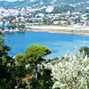 Parcel 21.000sqm for sale-Skiathos » Main Town - Chora