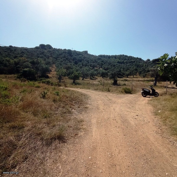 Αγροτεμάχια 21.000 τ.μ. πρός πώληση, Σποράδες, Σκιάθος