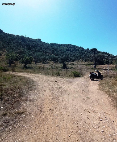 Αγροτεμάχια 21.000 τ.μ. πρός πώληση, Σποράδες, Σκιάθος