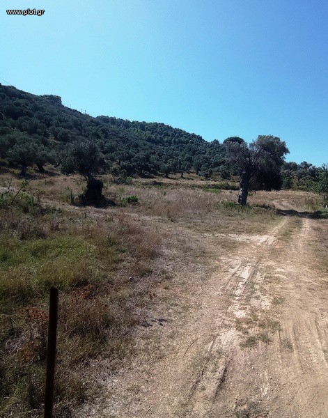 Αγροτεμάχια 21.000 τ.μ. πρός πώληση, Σποράδες, Σκιάθος