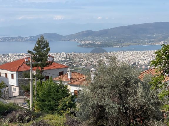 Οικόπεδο 1.020 τ.μ. για πώληση, Μαγνησία, Ιωλκός