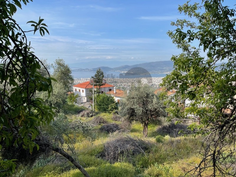 Οικόπεδο 1.020 τ.μ. πρός πώληση, Μαγνησία, Ιωλκός