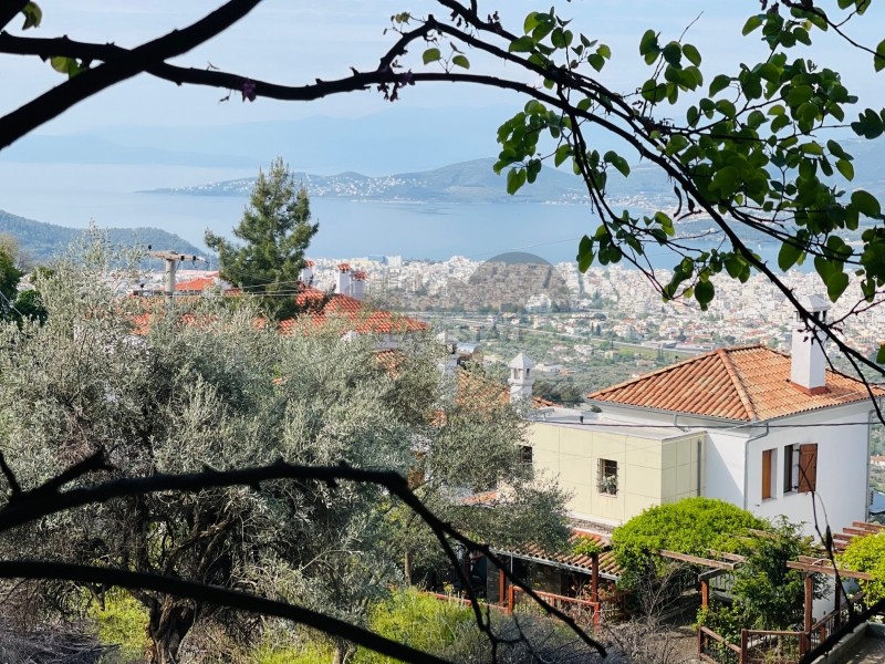 Οικόπεδο 1.020 τ.μ. πρός πώληση, Μαγνησία, Ιωλκός