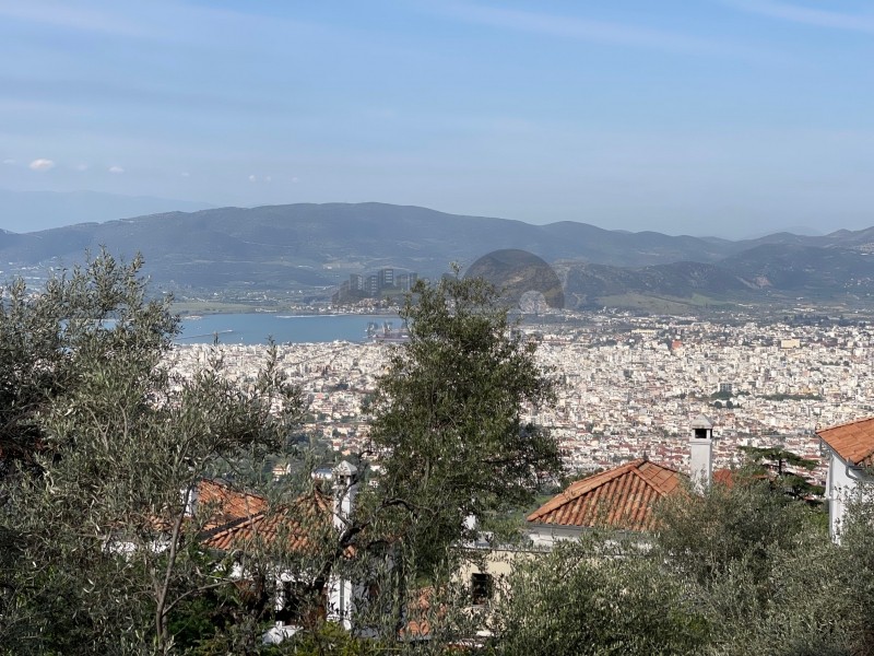 Οικόπεδο 1.020 τ.μ. πρός πώληση, Μαγνησία, Ιωλκός