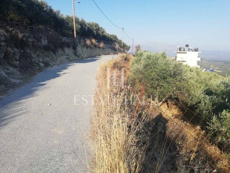 Αγροτεμάχια 2.500τ.μ. για πώληση-Αστερούσια » Λιγόρτυνος
