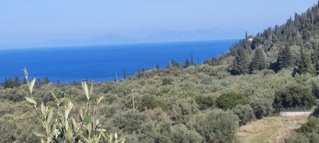 Αγροτεμάχια 4.300 τ.μ. για πώληση