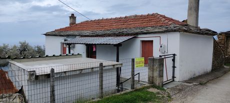 Μονοκατοικία 50τ.μ. για πώληση-Αφέτες » Ζερβόχια