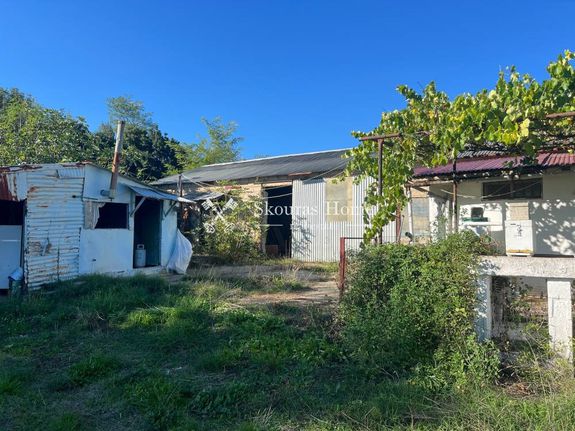 Farm 7.000 sqm for sale, Ioannina Prefecture, Ekali