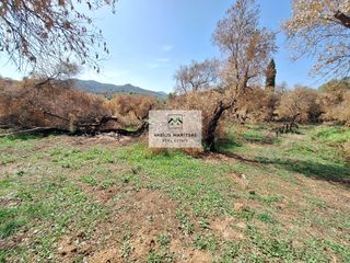 Οικόπεδο 3.675 τ.μ. πρός πώληση, Ν. Κέρκυρας, Κέρκυρα-thumb-10