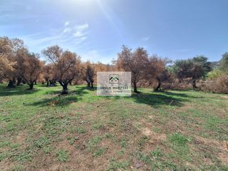 Οικόπεδο 3.675 τ.μ. για πώληση
