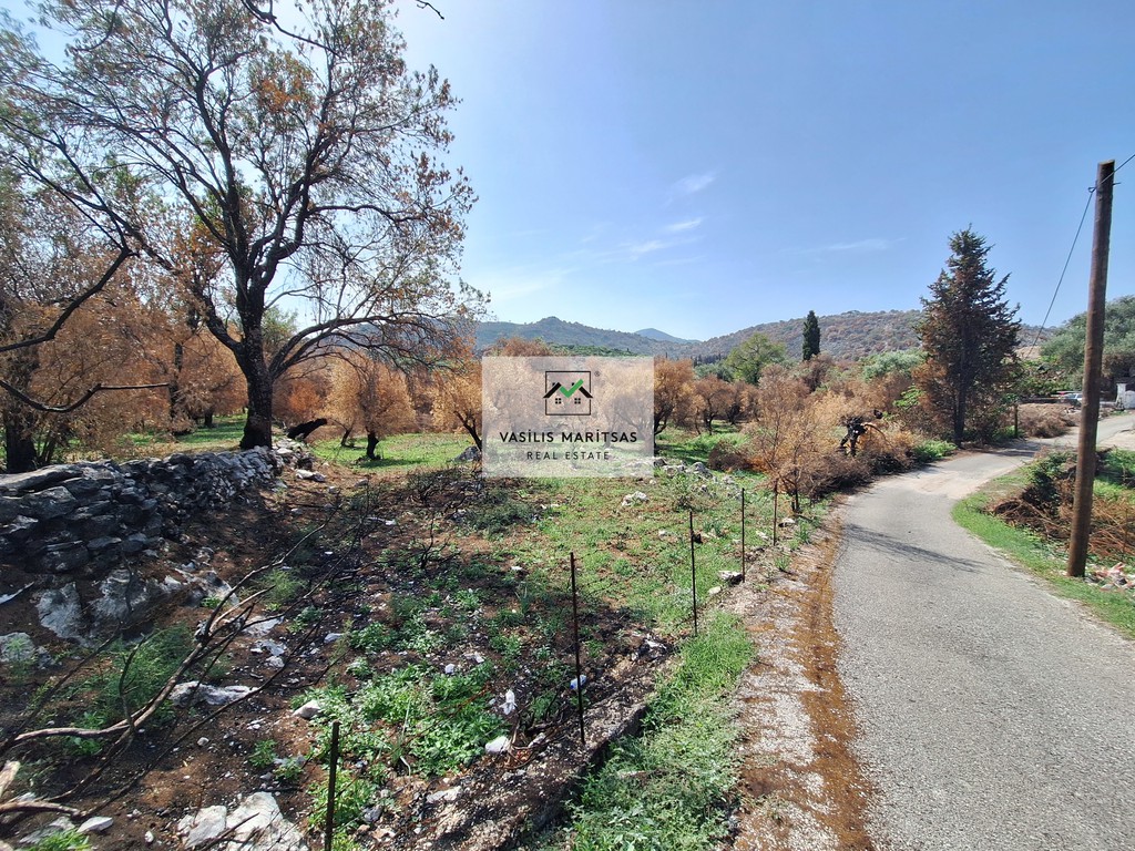 Οικόπεδο 3.675 τ.μ. πρός πώληση, Ν. Κέρκυρας, Κέρκυρα