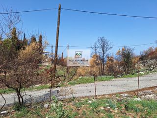 Οικόπεδο 3.675 τ.μ. πρός πώληση, Ν. Κέρκυρας, Κέρκυρα-thumb-13