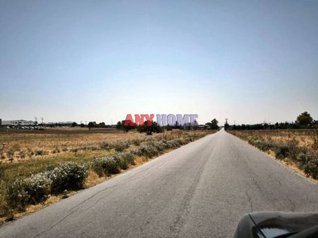 Αγροτεμάχια 8.000τ.μ. για πώληση-Εχέδωρος » Νέα μαγνησία