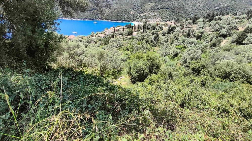 Αγροτεμάχια 2.946 τ.μ. προς πώληση, Ελλόμενο