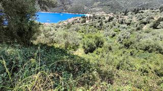 Αγροτεμάχια 2.946 τ.μ. προς πώληση, Ελλόμενο-thumb-1