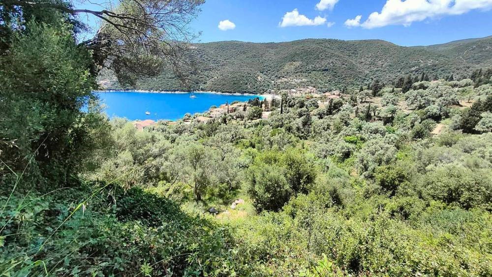 Αγροτεμάχια 2.946 τ.μ. προς πώληση, Ελλόμενο