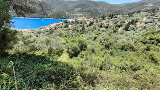 Αγροτεμάχια 2.946 τ.μ. για πώληση