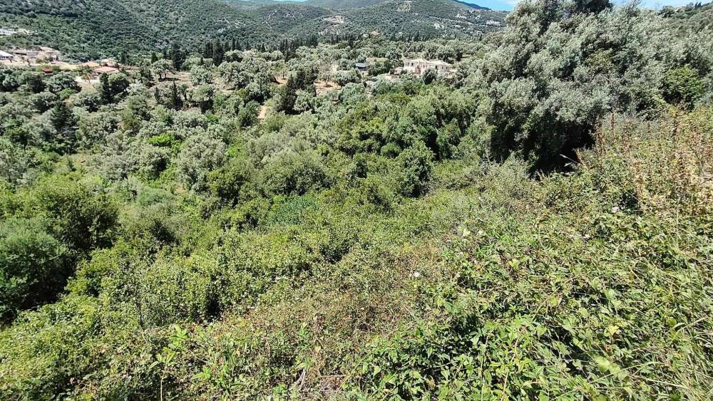 Αγροτεμάχια 2.946 τ.μ. προς πώληση, Ελλόμενο