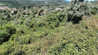Αγροτεμάχια 2.946 τ.μ. προς πώληση, Ελλόμενο-thumb-3