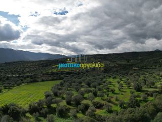 Αγροτεμάχια 6.412 τ.μ. προς πώληση, Μαλαντρένι-thumb-6