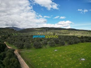 Αγροτεμάχια 6.412 τ.μ. προς πώληση, Μαλαντρένι-thumb-9