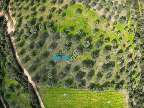 Parcel 6.412sqm for sale-Koutsopodi