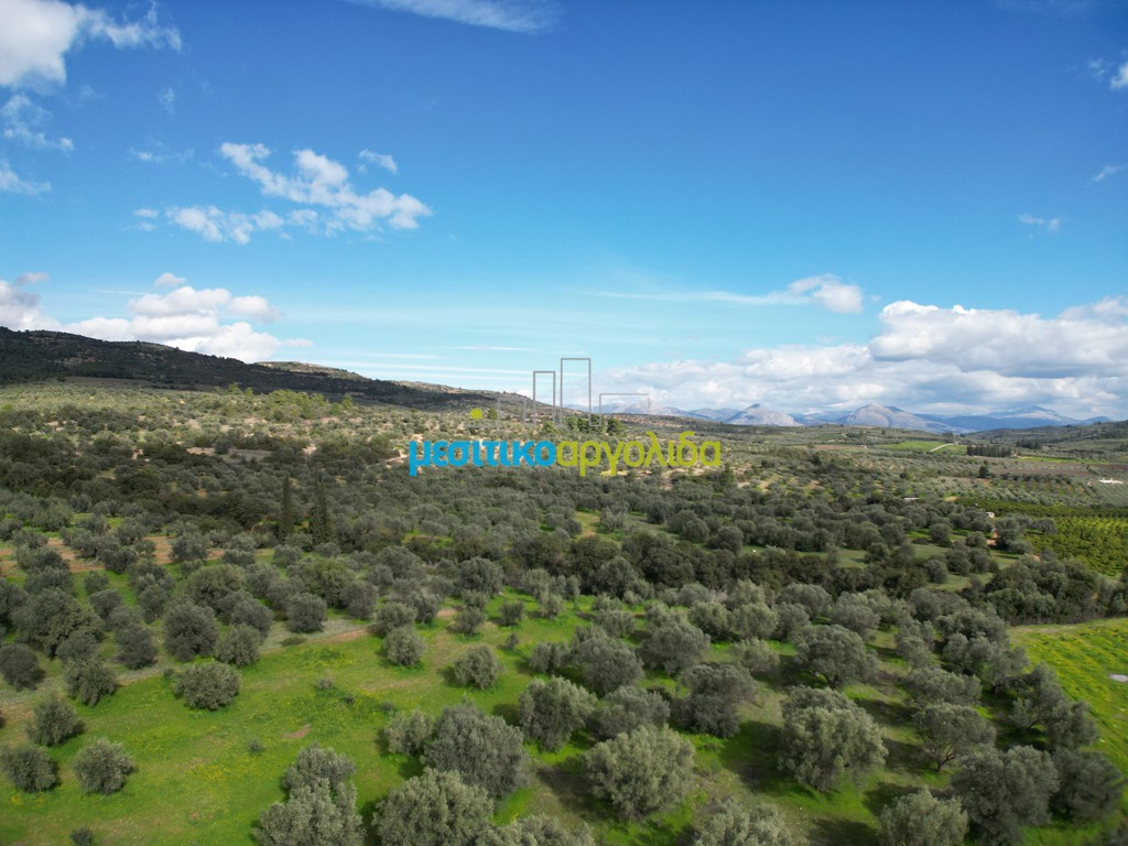 Αγροτεμάχια 6.412 τ.μ. προς πώληση, Μαλαντρένι