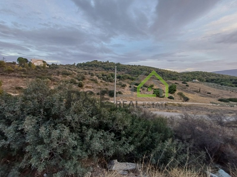 Αγροτεμάχια 375 τ.μ. πρός πώληση, Αθήνα - Ανατολικά Προάστια, Αρτέμιδα (λούτσα)