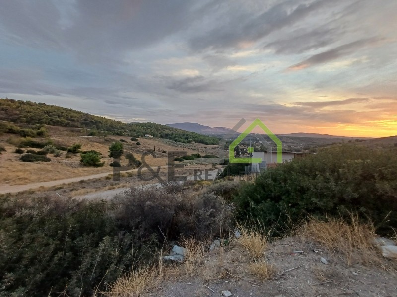 Αγροτεμάχια 375 τ.μ. πρός πώληση, Αθήνα - Ανατολικά Προάστια, Αρτέμιδα (λούτσα)