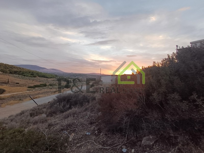 Αγροτεμάχια 375 τ.μ. πρός πώληση, Αθήνα - Ανατολικά Προάστια, Αρτέμιδα (λούτσα)