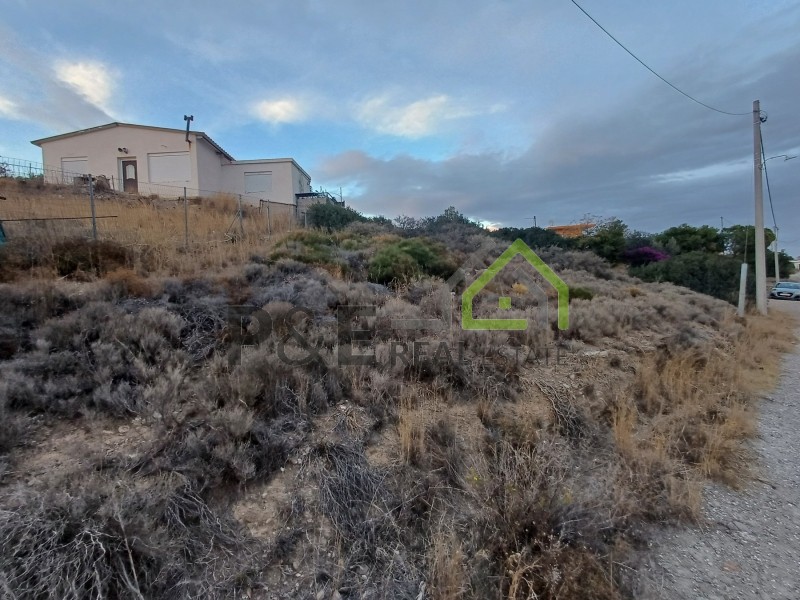 Αγροτεμάχια 375 τ.μ. πρός πώληση, Αθήνα - Ανατολικά Προάστια, Αρτέμιδα (λούτσα)