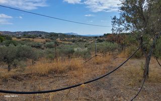 Αγροτεμάχια 7.000 τ.μ. για πώληση, Αργολίδα, Κρανίδι-thumb-1