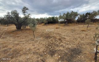 Αγροτεμάχια 7.000 τ.μ. για πώληση, Αργολίδα, Κρανίδι-thumb-19