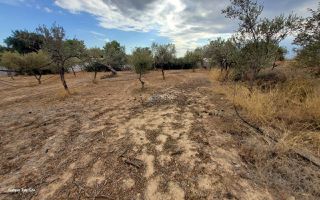 Αγροτεμάχια 7.000 τ.μ. για πώληση, Αργολίδα, Κρανίδι-thumb-17
