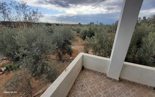 Αγροτεμάχια 7.000 τ.μ. για πώληση, Αργολίδα, Κρανίδι-thumb-5