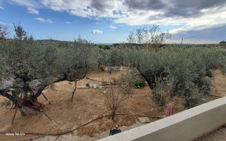 Αγροτεμάχια 7.000 τ.μ. για πώληση, Αργολίδα, Κρανίδι-thumb-11