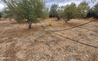Αγροτεμάχια 7.000 τ.μ. για πώληση, Αργολίδα, Κρανίδι-thumb-20
