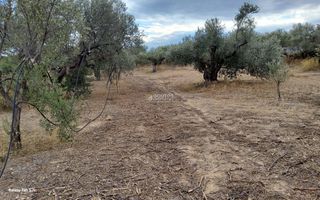 Αγροτεμάχια 7.000 τ.μ. για πώληση, Αργολίδα, Κρανίδι-thumb-2