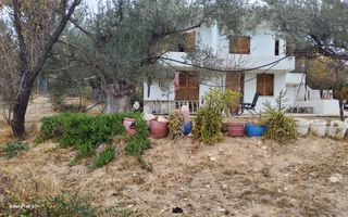 Αγροτεμάχια 7.000 τ.μ. για πώληση, Αργολίδα, Κρανίδι-thumb-3