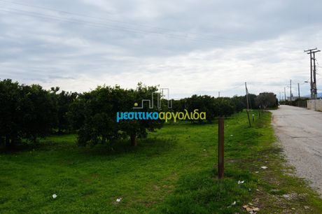 Parcel 20.000sqm for sale-Argos