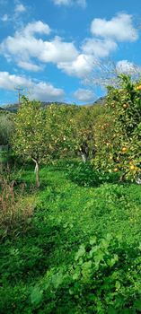 Land plot 600sqm for sale-Tilisos » Center