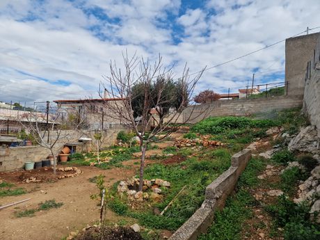 Αγροτεμάχια 182 τ.μ. για πώληση