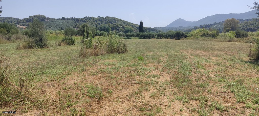 Γη 20.771 τ.μ. πρός ενοικίαση, Ν. Ηλείας, Σκιλούντα