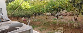 Κατάστημα 250 τ.μ. για πώληση, Αθήνα - Κέντρο, Παγκράτι-thumb-10