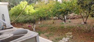 Κατάστημα 250 τ.μ. για ενοικίαση, Αθήνα - Κέντρο, Παγκράτι-thumb-13