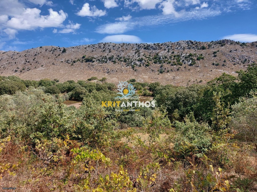 Αγροτεμάχια 3.964 τ.μ. πρός πώληση, Ν. Ρεθύμνου, Ρέθυμνο