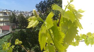 Γραφείο 210 τ.μ. για πώληση, Φθιώτιδας, Λαμία-thumb-20